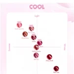 romand The Juicy Lasting Tint portada